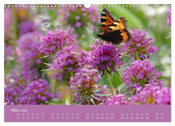 Produktbild: Fauna trifft Flora - Tierischer Besuch im Pflanzenreich (Wandkalender 2026 DIN A3 quer), CALVENDO Monatskalender