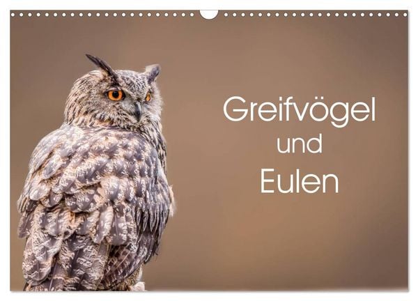 Produktbild: Greifv&ouml;gel und Eulen (Wandkalender 2026 DIN A3 quer), CALVENDO Monatskalender