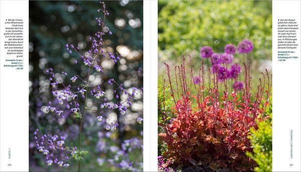 Produktbild: Garten-Shooting