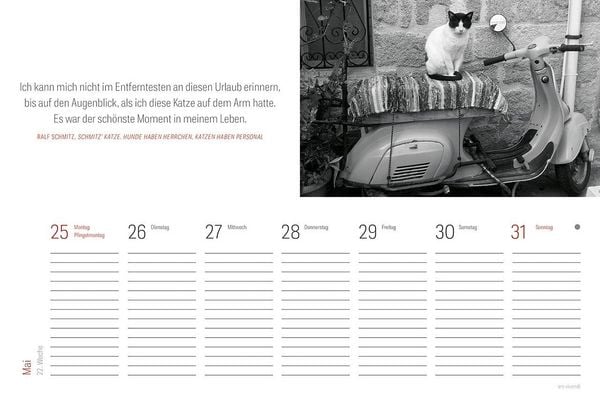 Produktbild: Tischkalender Katzen 2027