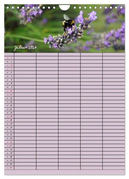 Produktbild: Naturzauber Lavendel - Familienplaner (Wandkalender 2026 DIN A4 hoch), CALVENDO Monatskalender