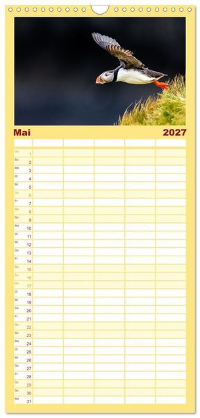 Produktbild: Familienplaner 2027 - Puffins - Papageientaucher auf Island mit 5 Spalten (Wandkalender, 21 x 45 cm) CALVENDO