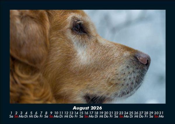 Produktbild: Hundezauber 2026 Fotokalender DIN A5