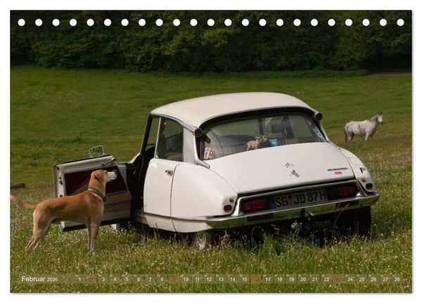 Produktbild: Citro&euml;n DS - G&ouml;ttin in wei&szlig; (Tischkalender 2025 DIN A5 quer), CALVENDO Monatskalender