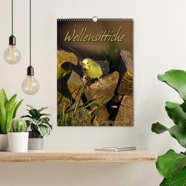 Produktbild: Wellensittiche (Wandkalender 2027 DIN A3 hoch), CALVENDO Monatskalender