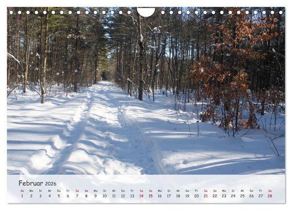 Produktbild: Vier Jahreszeiten - Eine Welt (Wandkalender 2026 DIN A4 quer), CALVENDO Monatskalender