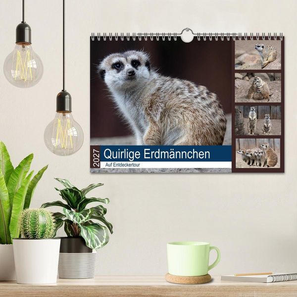 Produktbild: Quirlige Erdm&auml;nnchen (Wandkalender 2027 DIN A4 quer), CALVENDO Monatskalender