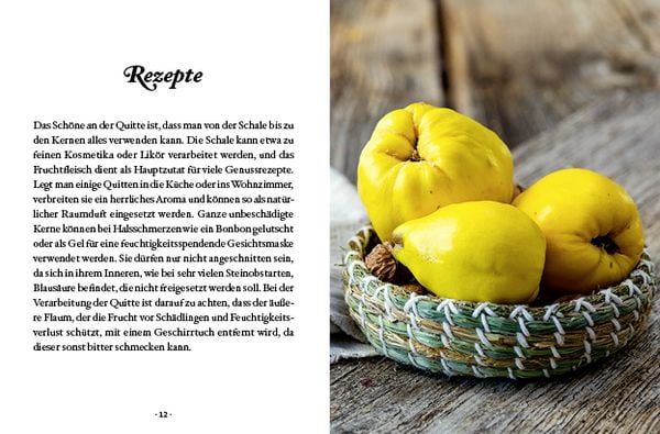 Produktbild: Das kleine Buch: Quitten in K&uuml;che und Kosmetik