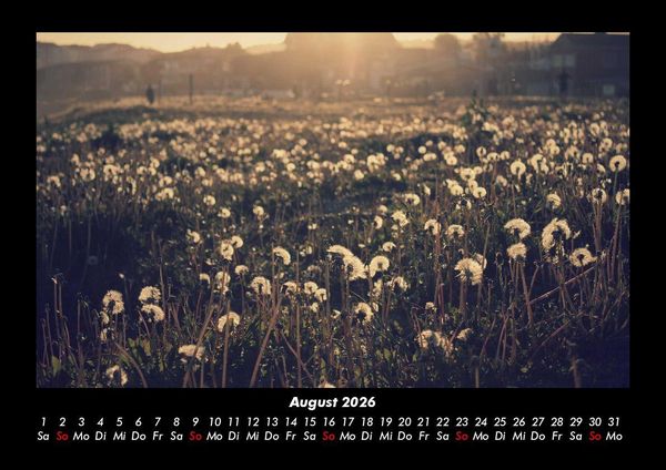 Produktbild: Blumentr&auml;ume 2026 Fotokalender DIN A3