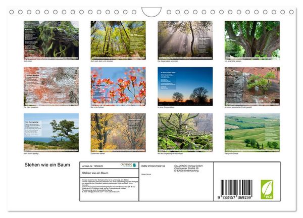 Produktbild: Stehen wie ein Baum (Wandkalender 2026 DIN A4 quer), CALVENDO Monatskalender