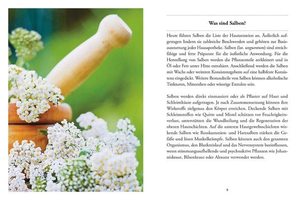Produktbild: Das große kleine Buch: Heilsalben aus Wald und Wiese