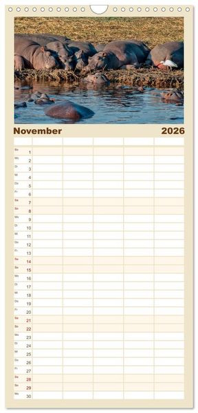 Produktbild: Familienplaner 2026 - Flusspferde - gem&uuml;tlich gef&auml;hrlich mit 5 Spalten (Wandkalender, 21 x 45 cm) CALVENDO