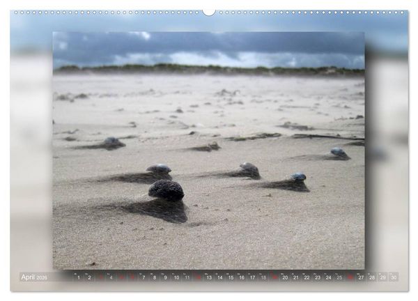 Produktbild: Baltrum - Ein Tag am Strand (Wandkalender 2026 DIN A2 quer), CALVENDO Monatskalender