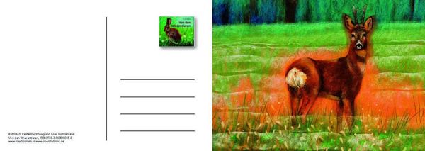Produktbild: Von den Wiesentieren &ndash; Ein Postkartenbuch