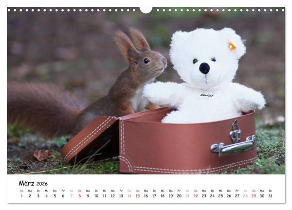 Produktbild: Unsere Eichh&ouml;rnchen in Bayern (Wandkalender 2026 DIN A3 quer), CALVENDO Monatskalender