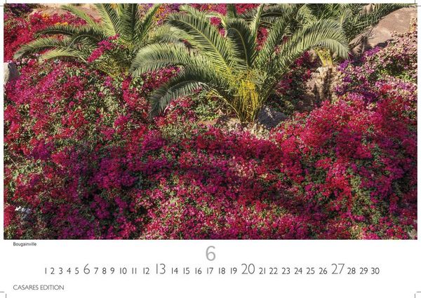 Produktbild: Gran Canaria Kalender 2027 &ndash; Wandkalender | Fotokalender Spanien 50x35 cm - Premium . dieser bezaubernden Insel