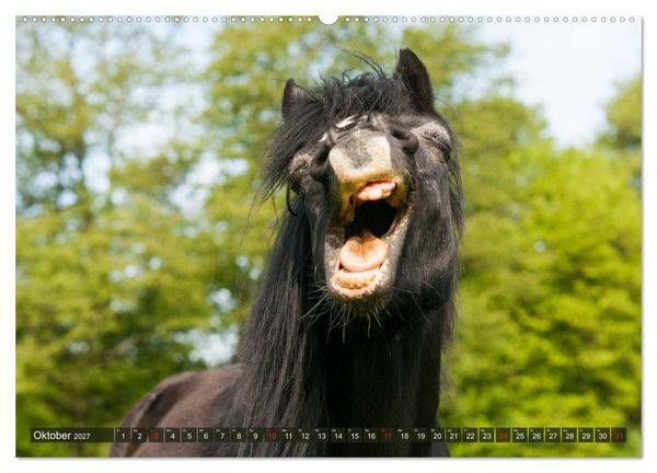 Produktbild: Das Lachen der Pferde - Lustige Gesichter (hochwertiger Premium Wandkalender 2027 DIN A2 quer), Kunstdruck in Hochglanz