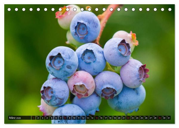 Produktbild: Superfood Blaubeere. Ich esse gerne Heidelbeeren! (Tischkalender 2026 DIN A5 quer), CALVENDO Monatskalender