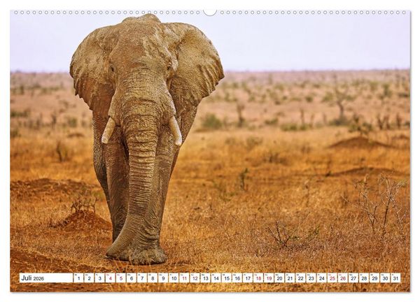 Produktbild: Elefanten-Traum - Herzenssache Afrika (Wandkalender 2026 DIN A2 quer), CALVENDO Monatskalender