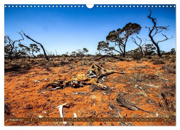 Produktbild: Outback Life - Australien (Wandkalender 2027 DIN A3 quer), CALVENDO Monatskalender