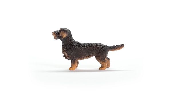Produktbild: schleich&reg; 13972 Rauhaardackel