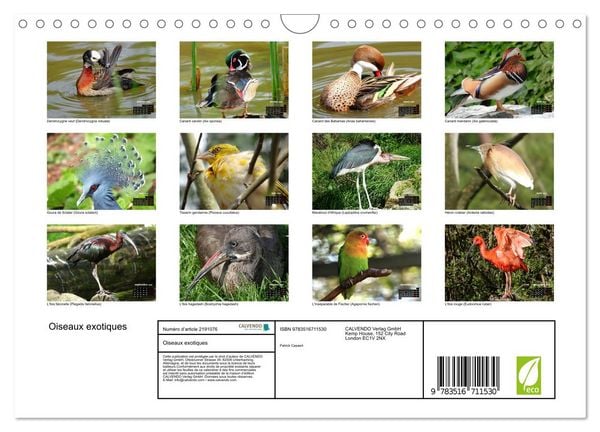 Produktbild: Oiseaux exotiques (Calendrier mural 2026 DIN A4 vertical), CALVENDO calendrier mensuel