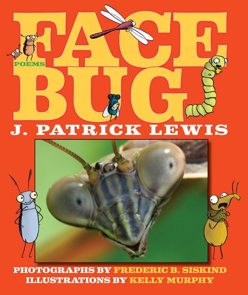 Produktbild: Lewis, J: Face Bug