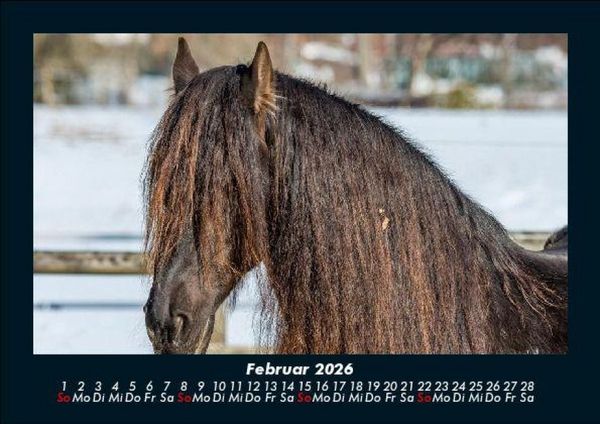 Produktbild: Die Welt der Pferde 2026 Fotokalender DIN A5