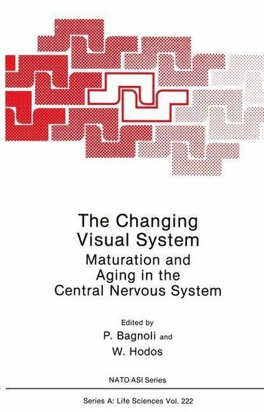 Produktbild: The Changing Visual System