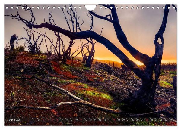 Produktbild: La Isla de La Gomera - Wilde Sch&ouml;nheit im Atlantik (Wandkalender 2026 DIN A4 quer), CALVENDO Monatskalender