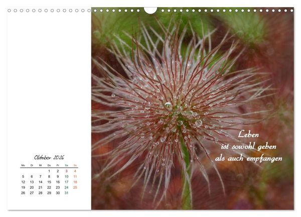 Produktbild: Innehalten in der Natur ... mit Weisheiten und Sprichworten der Indianer (Wandkalender 2026 DIN A3 quer), CALVENDO Monatskalender