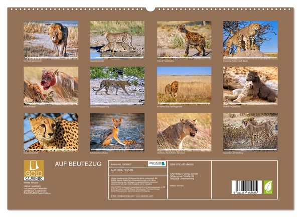 Produktbild: AUF BEUTEZUG (hochwertiger Premium Wandkalender 2026 DIN A2 quer), Kunstdruck in Hochglanz