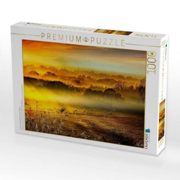 Produktbild: CALVENDO Puzzle Schafe auf der Weide im Sonnenaufgang | 1000 Teile Lege-Gr&ouml;&szlig;e 64x48cm Foto-Puzzle f&uuml;r gl&uuml;ckliche Stunden