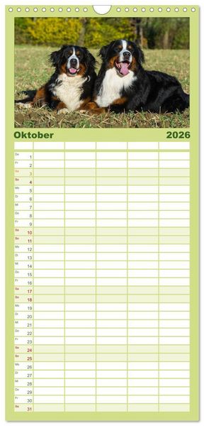 Produktbild: Familienplaner 2026 - Treuer Freund Berner Sennenhund mit 5 Spalten (Wandkalender, 21 x 45 cm) CALVENDO