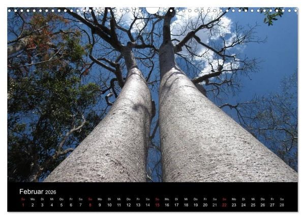 Produktbild: Abenteuer Madagaskar (Wandkalender 2026 DIN A3 quer), CALVENDO Monatskalender