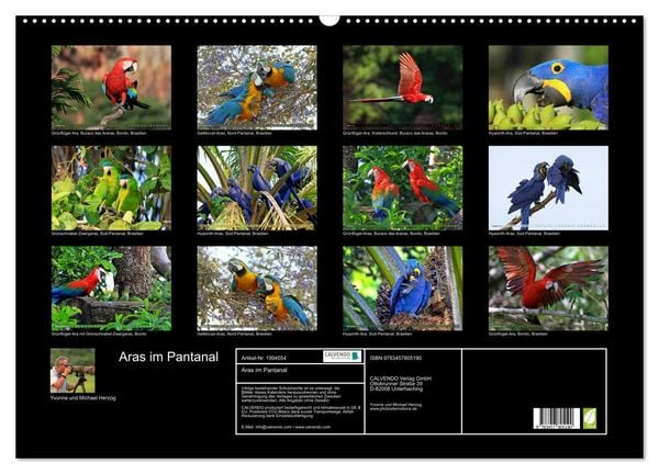 Produktbild: Aras im Pantanal (Wandkalender 2026 DIN A2 quer), CALVENDO Monatskalender