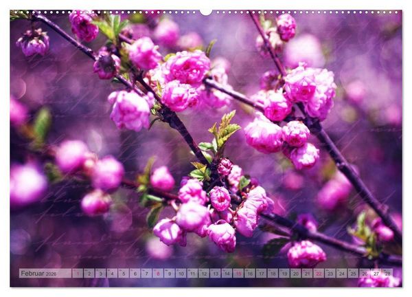 Produktbild: Vintage Nature - Romantische Naturaufnahmen (Wandkalender 2026 DIN A2 quer), CALVENDO Monatskalender
