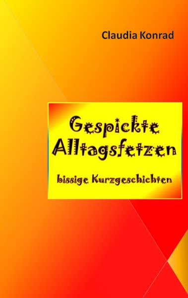 Produktbild: Gespickte Alltagsfetzen
