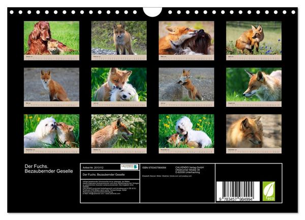 Produktbild: Der Fuchs. Bezaubernder Geselle (Wandkalender 2026 DIN A4 quer), CALVENDO Monatskalender