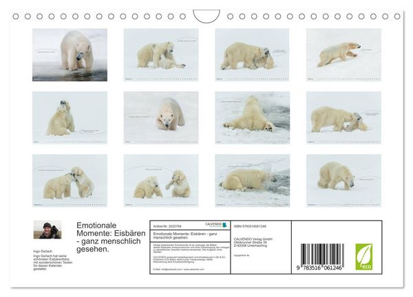 Produktbild: Emotionale Momente: Eisb&auml;ren - ganz menschlich gesehen. (Wandkalender 2026 DIN A4 quer), CALVENDO Monatskalender