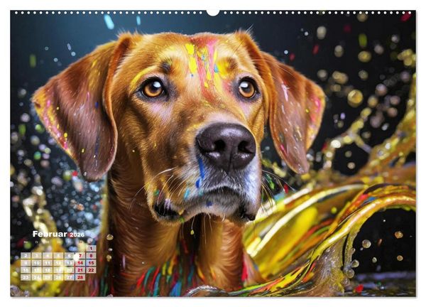Produktbild: Splash - Hunde im Farbrausch (hochwertiger Premium Wandkalender 2026 DIN A2 quer), Kunstdruck in Hochglanz