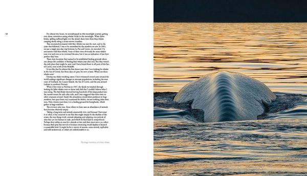 Produktbild: The Sea of Dreams