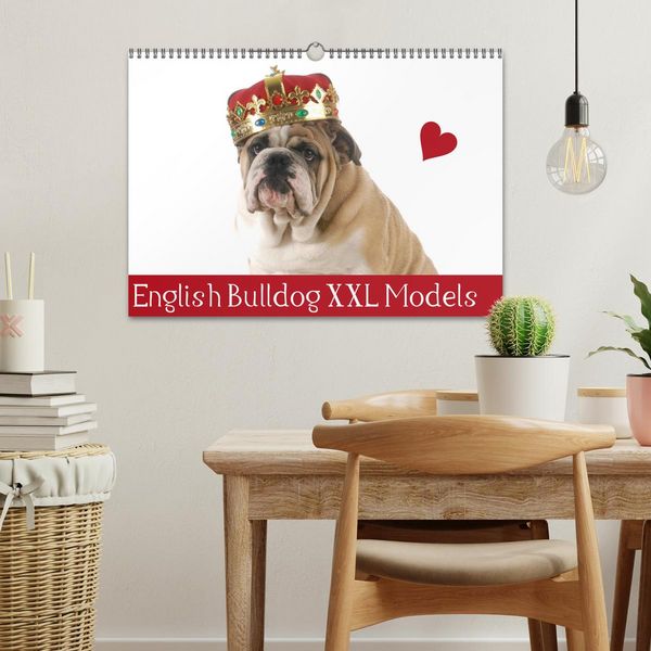 Produktbild: English Bulldog XXL Models (Wandkalender 2026 DIN A3 quer), CALVENDO Monatskalender