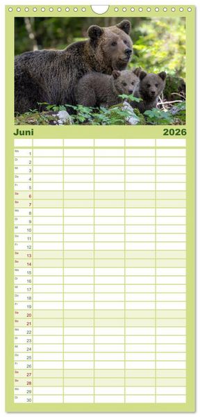 Produktbild: Familienplaner 2026 - Lautlos in den W&auml;ldern Sloweniens mit 5 Spalten (Wandkalender, 21 x 45 cm) CALVENDO