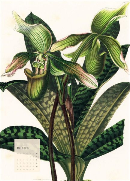 Produktbild: Botanicals Kalender 2027