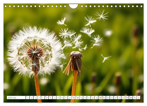 Produktbild: Die Poesie und Kraft des Windes - Windkraft in Bewegung (Wandkalender 2026 DIN A4 quer), CALVENDO Monatskalender