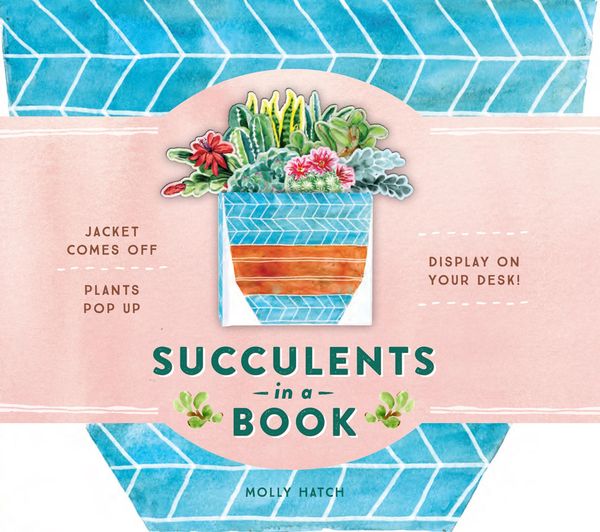 Produktbild: Succulents in a Book (Uplifting Editions)