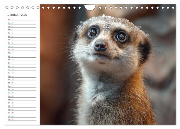 Produktbild: Die Welt der Erdm&auml;nnchen (Wandkalender 2027 DIN A4 quer), CALVENDO Monatskalender