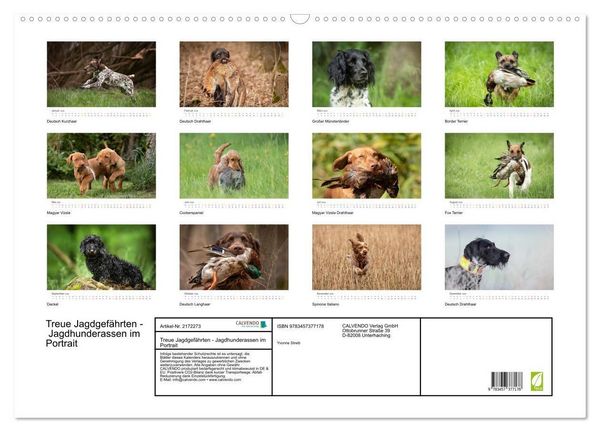 Produktbild: Treue Jagdgef&auml;hrten - Jagdhunderassen im Portrait (Wandkalender 2026 DIN A2 quer), CALVENDO Monatskalender