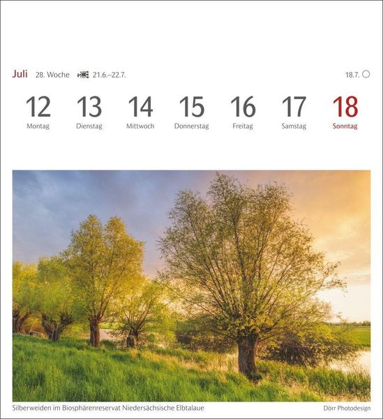 Produktbild: B&auml;ume Postkartenkalender 2027 - Wochenkalender mit 53 Postkarten